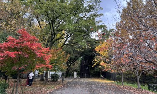 9月10日外汇交易提醒